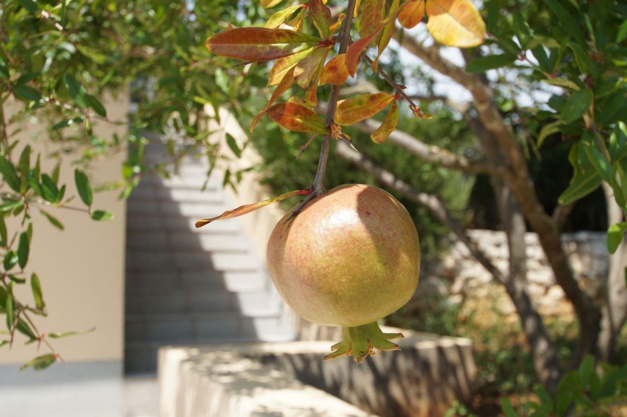 Apartment Ka3 Vela Luka Dış mekan fotoğraf